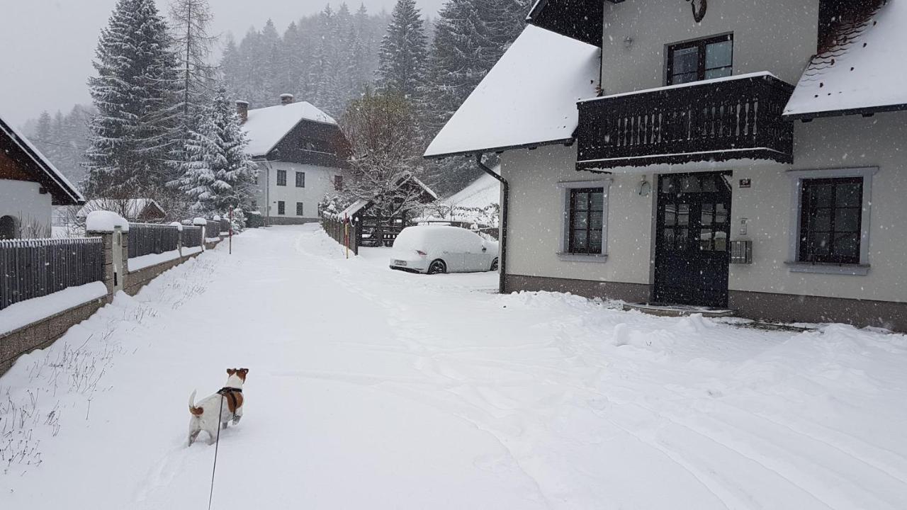 Apartman Irvin Kranjska Gora Buitenkant foto