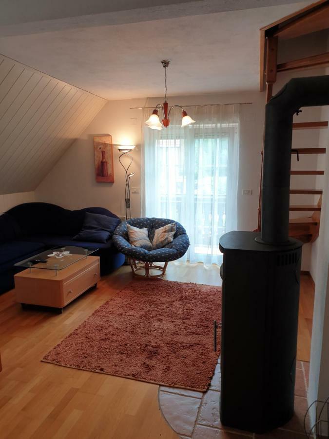 Apartman Irvin Kranjska Gora Buitenkant foto
