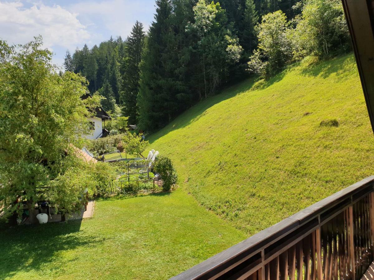 Apartman Irvin Kranjska Gora Buitenkant foto