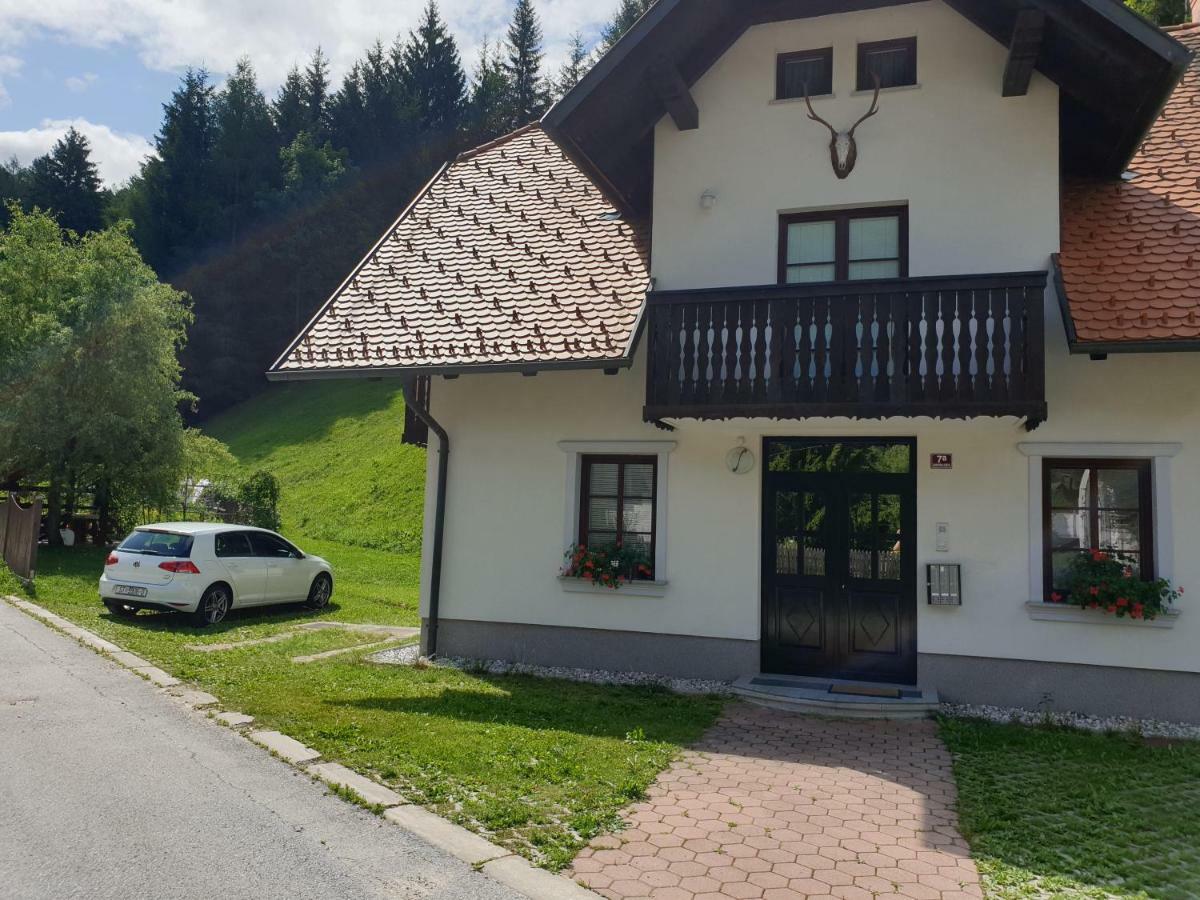 Apartman Irvin Kranjska Gora Buitenkant foto