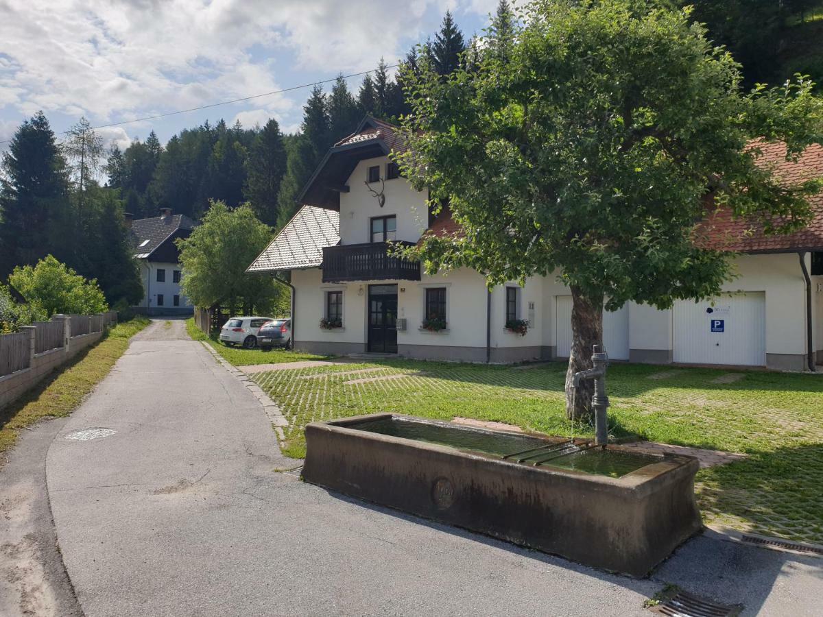 Apartman Irvin Kranjska Gora Buitenkant foto